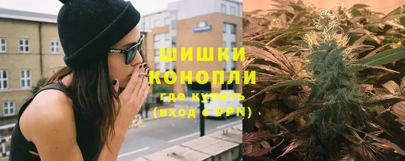 Каннабис SATIVA & INDICA  Калининец 